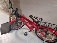 cruiser cycle 20 size