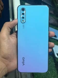 vivo