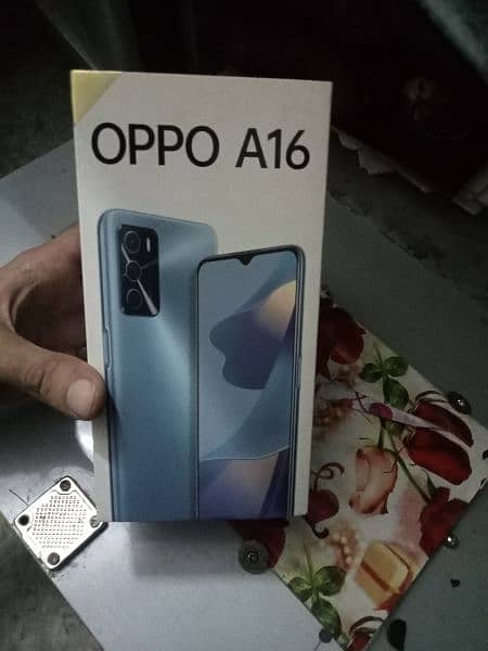 Oppo A16 1