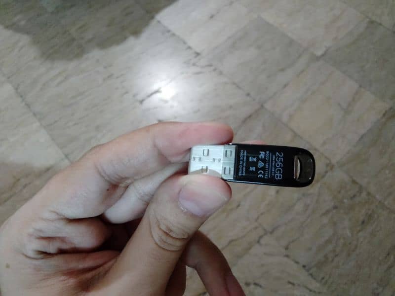 Original SanDisk USB 3.1(256GB) Fast Transfer 1