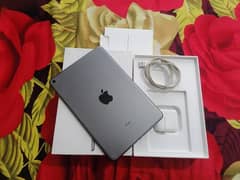 Ipad mini 5 0