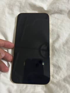 iphone 13 pro max pta approved