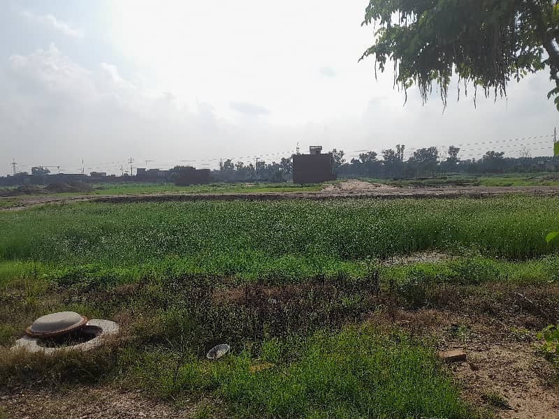 A Spacious Prime Location 5 Marla Residential Plot In Ajwa City 8