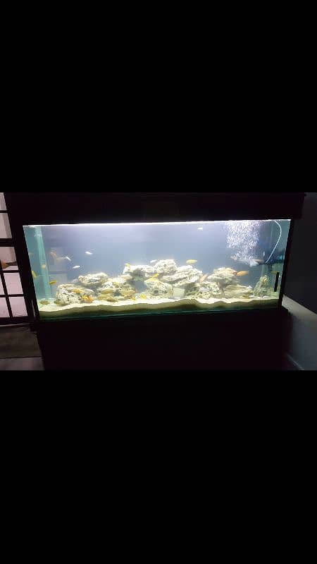 aquarium for sell 0