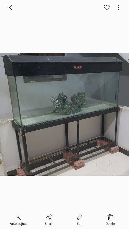 aquarium for sell 2