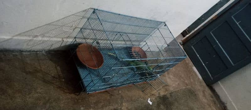 parrot cage for sale with baredieng box good condtion in kharaian cant 1