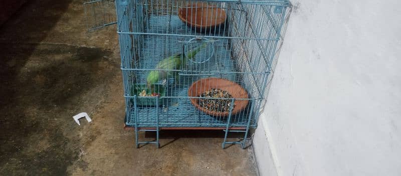 parrot cage for sale with baredieng box good condtion in kharaian cant 2