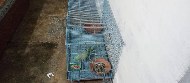 parrot cage for sale with baredieng box good condtion in kharaian cant 3