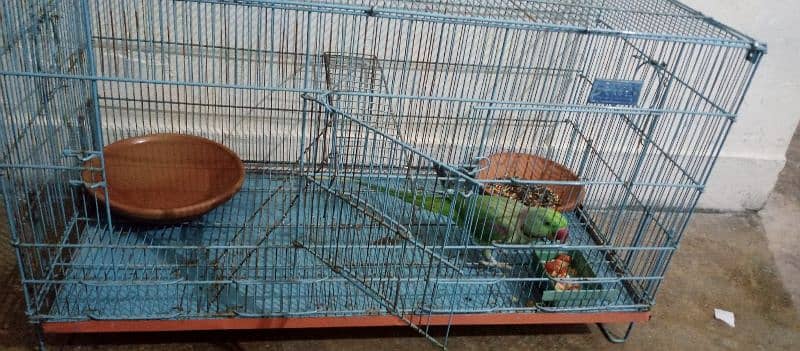 parrot cage for sale with baredieng box good condtion in kharaian cant 4