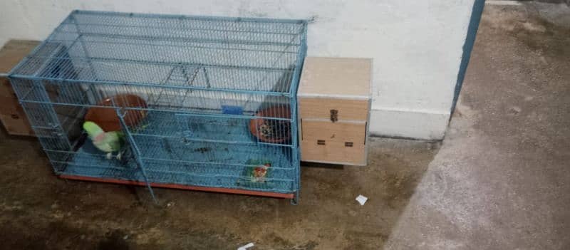 parrot cage for sale with baredieng box good condtion in kharaian cant 5