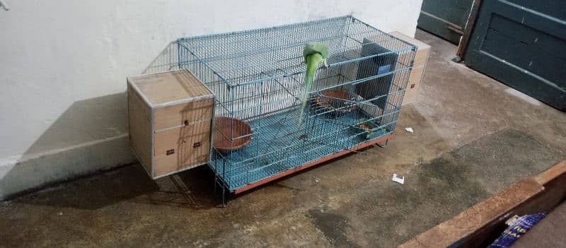 parrot cage for sale with baredieng box good condtion in kharaian cant 8