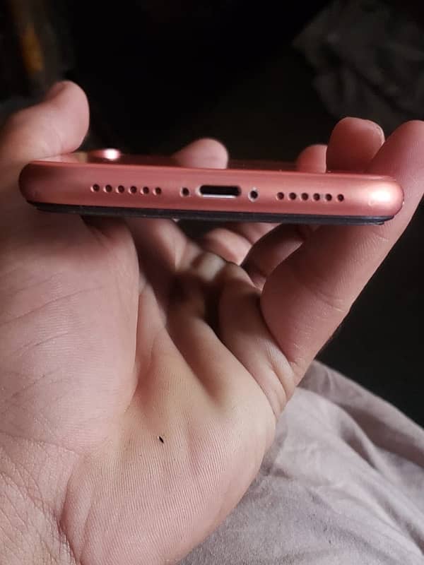 iphone Xr 1