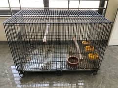 Original Master Cage for Sale in Very Good Condition