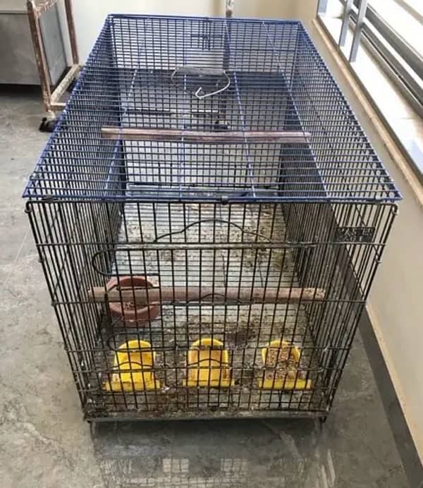 Original Master Cage for Sale in Very Good Condition 1