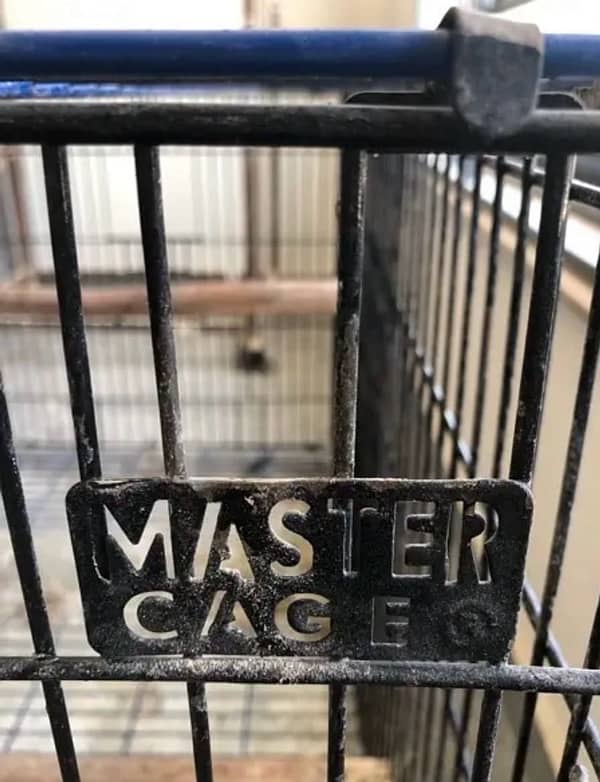 Original Master Cage for Sale in Very Good Condition 2