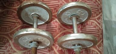 Dumbbells Plates with Rods 0