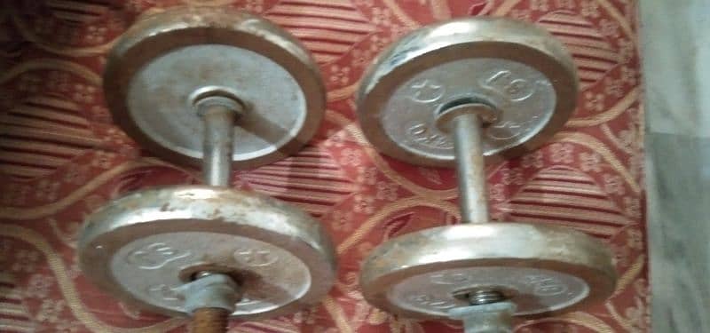 Dumbbells Plates with Rods 1