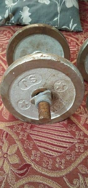 Dumbbells Plates with Rods 2