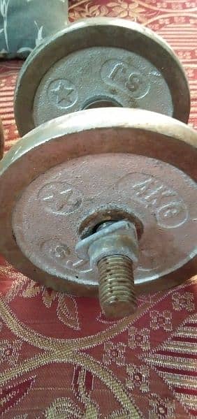 Dumbbells Plates with Rods 4