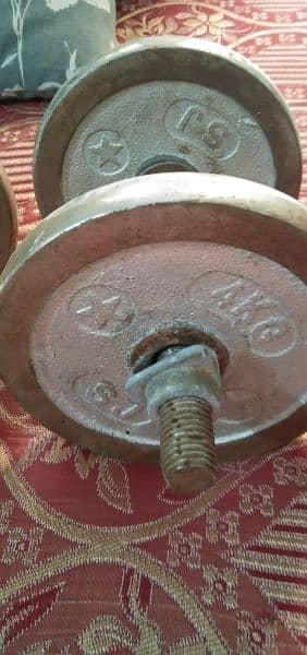 Dumbbells Plates with Rods 5