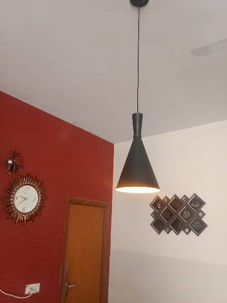 brand new hanging light for sale 1