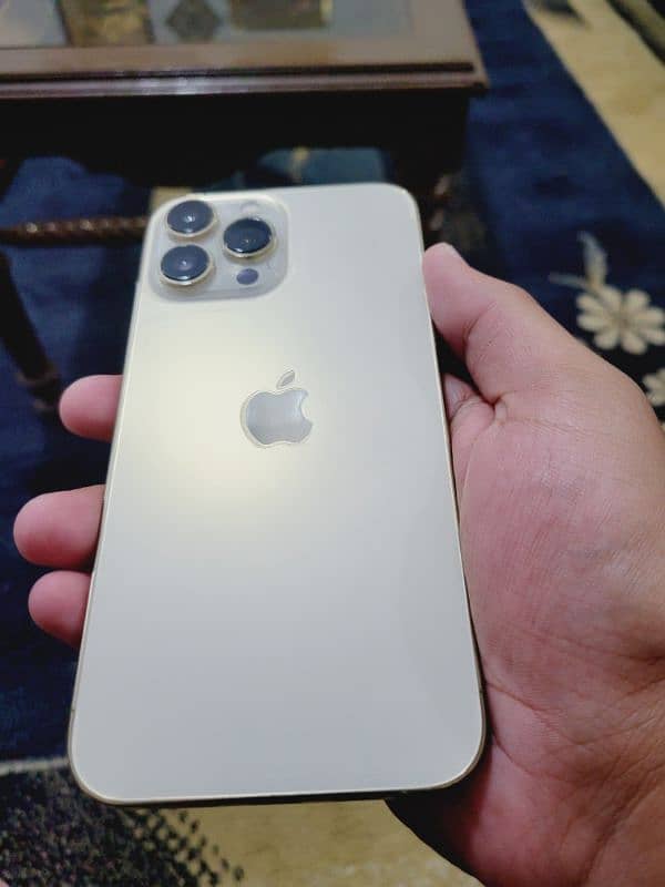 iphone 13 pro max 1