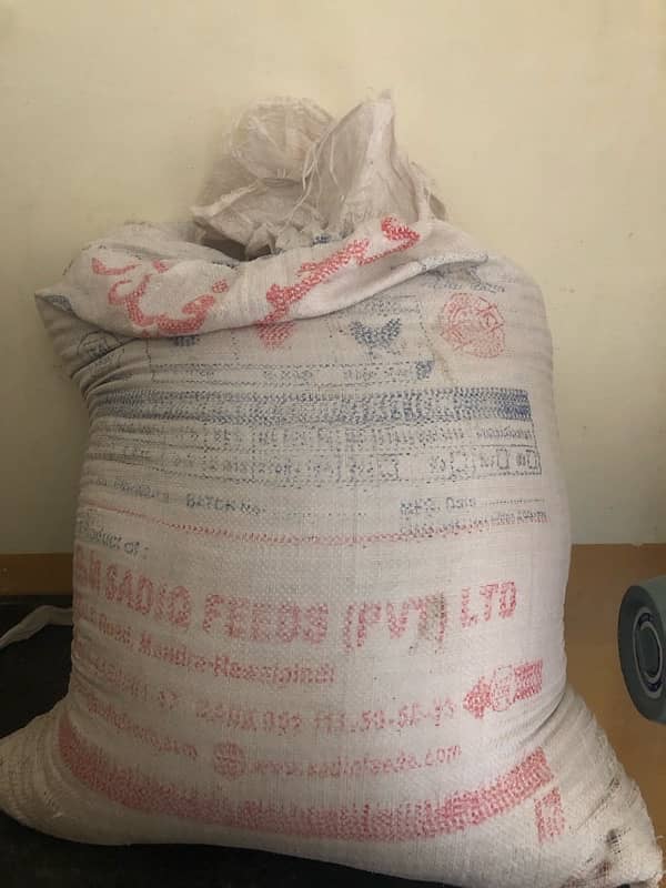 Gandum for sale | wheat for sale Fresh Gundum ha 2