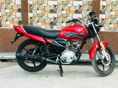 yb 125z dx for sale all Punjab number ha