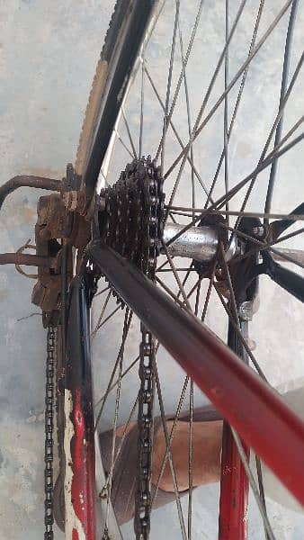 phonex cycle, gears MTB large size 3