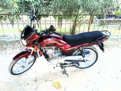 Suzuki  GD 110s