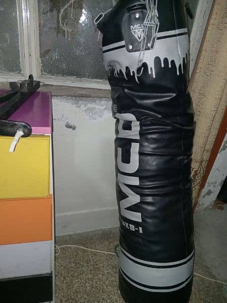 punching bag  and cycle 2