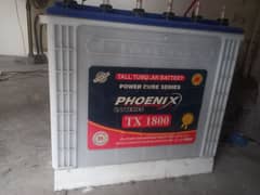 Phoenix Battery pair