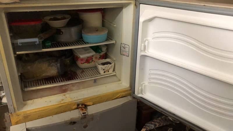 fridge 2