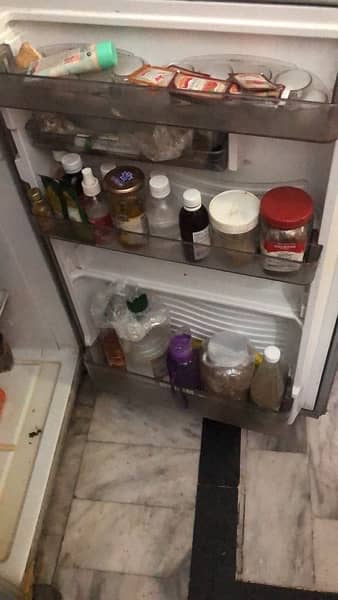 fridge 3