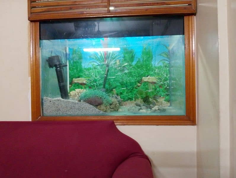 aquarium with accessories 1