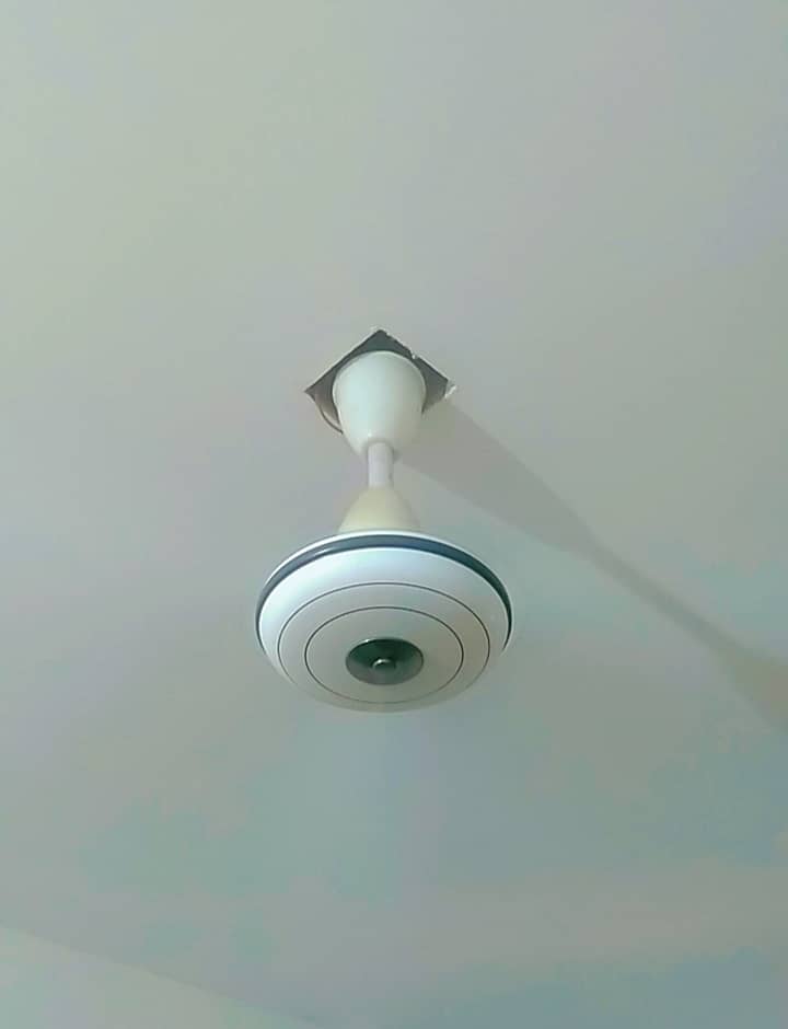 Royal ceiling fan 1