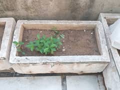 Iam selling plant pots made out of cement. 0