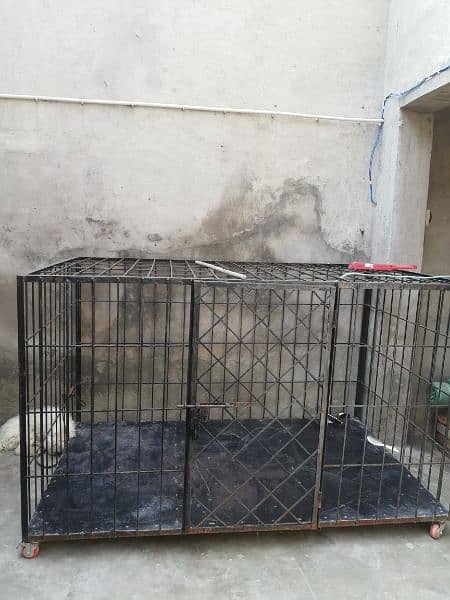 Dog cage full size not fix price 1