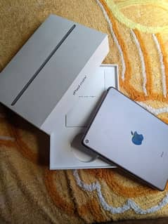 ipad mini 5