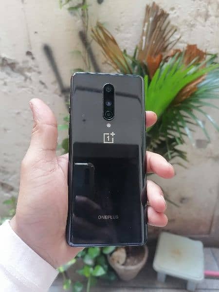 oneplus 8 0