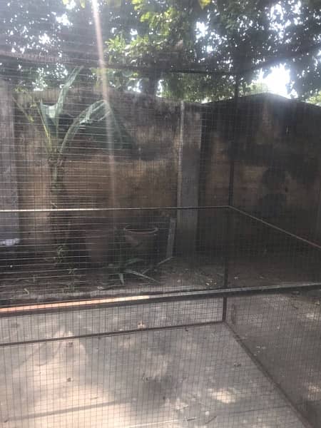 cage for sale 1