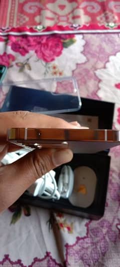 VIVO V23 5g PTA Approved 03409540439Watsapp