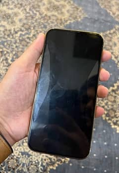 iphone 13 pro max non register