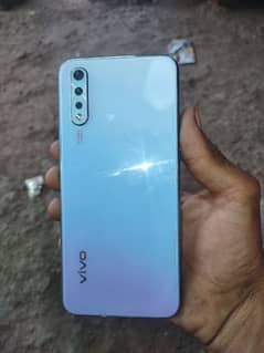 vivo