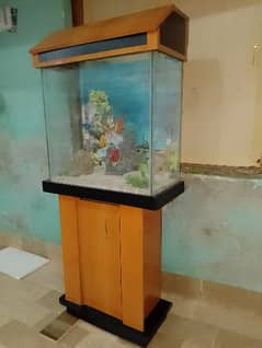 Fish Aquarium Sell