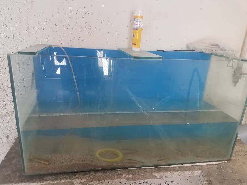 3ft aquarium iron stand 4