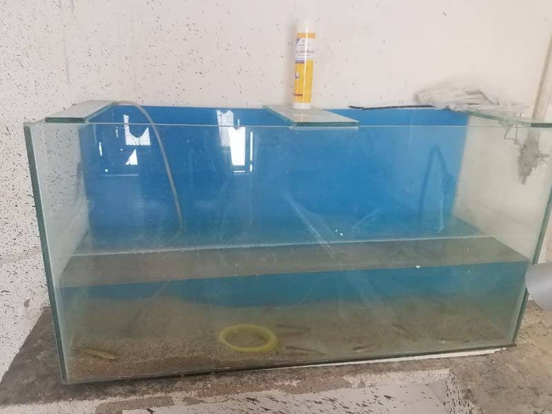 3ft aquarium iron stand 5