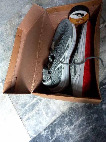 shoes for men new with box and shiner 8