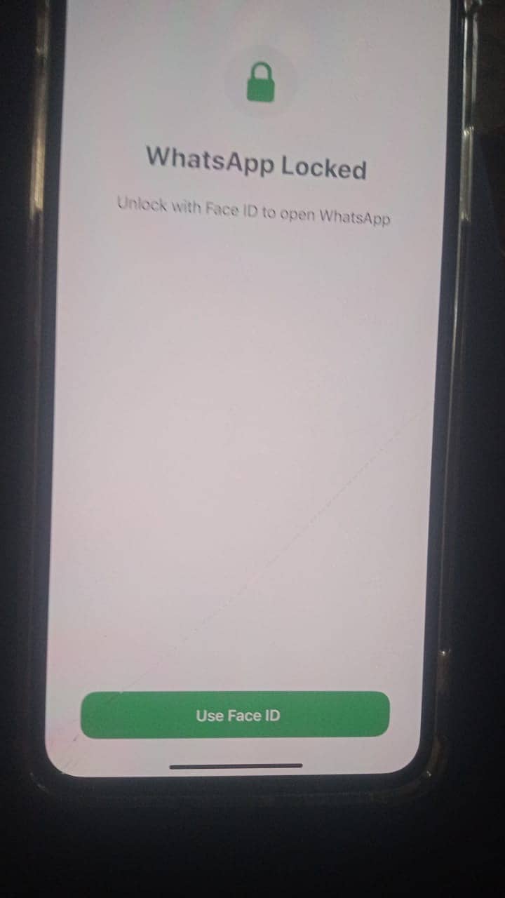 iPhone XS Max (Non pta factory unlocked) 6