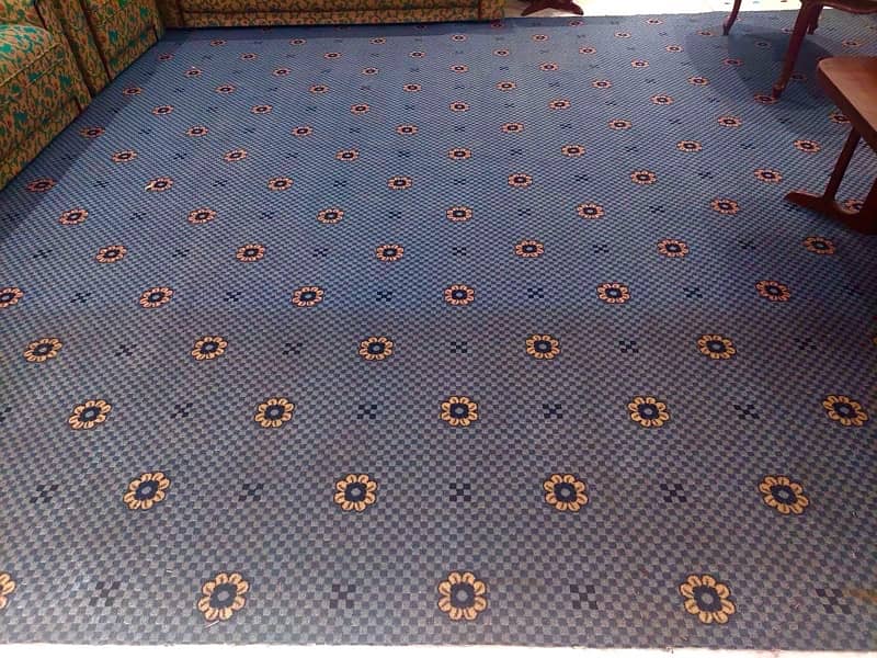 Blue Wall -to- Wall Carpet 1